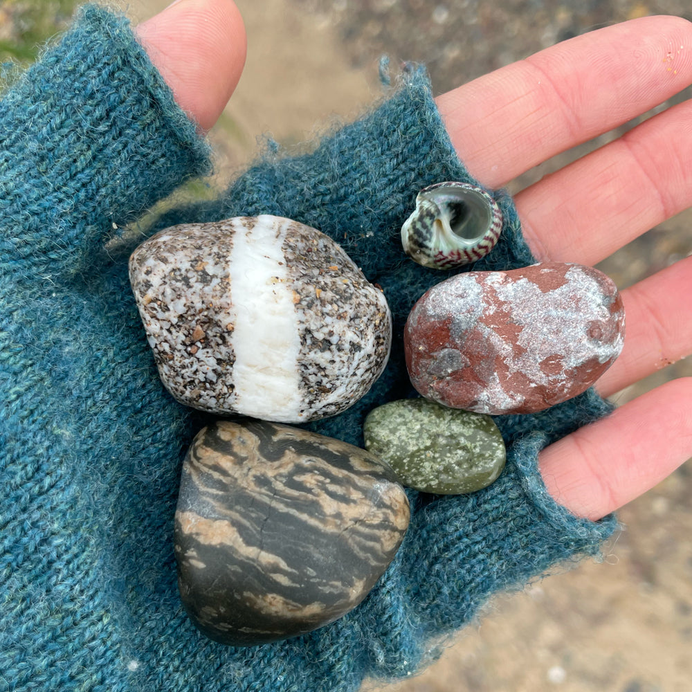 Rocks and Shells from the seaside color inspiration