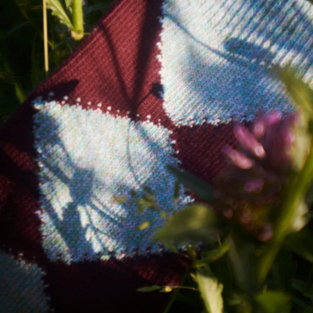Genevieve Sweeney Argyle Socks in the garden