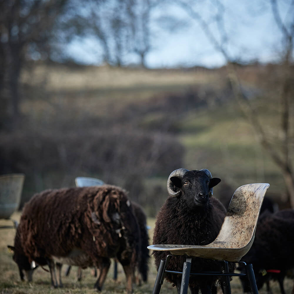 Solidwool: The British Company Turning British Wool Into Sustainable Furniture